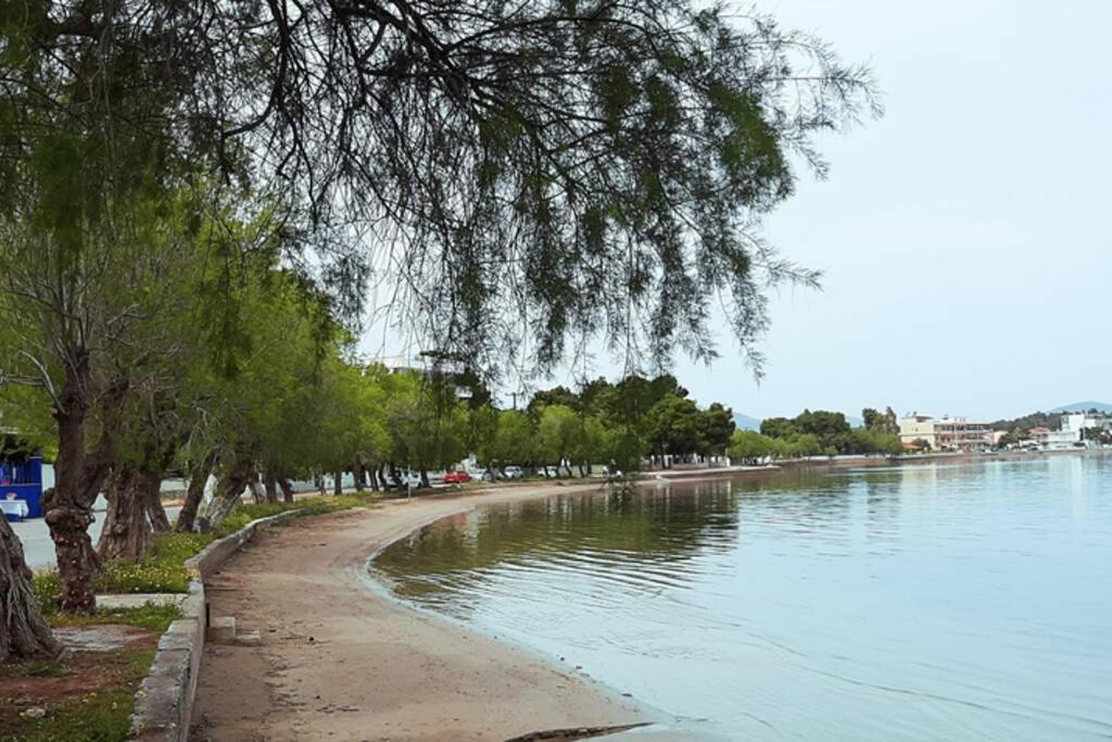 Πολυτελές Διαμέρισμα 3 Χαλκίδα-Παραλία Αυλίδος Paralia Avlidhos Eksteriør bilde