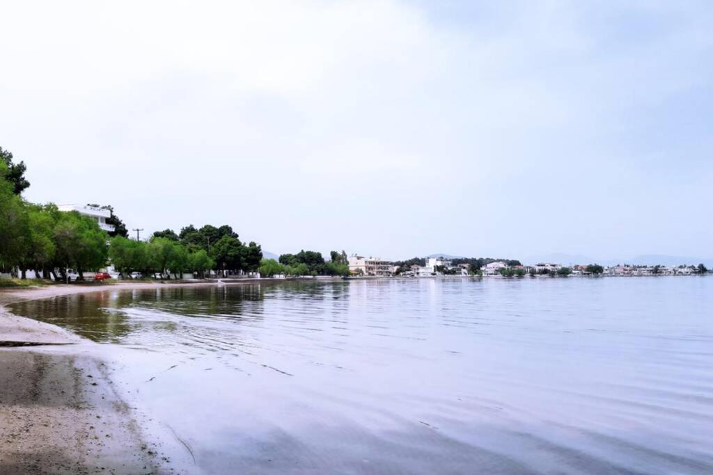 Πολυτελές Διαμέρισμα 3 Χαλκίδα-Παραλία Αυλίδος Paralia Avlidhos Eksteriør bilde